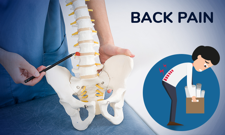 કમરનાં દુખાવા વિશે આટલું જાણો.